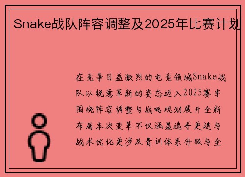 Snake战队阵容调整及2025年比赛计划